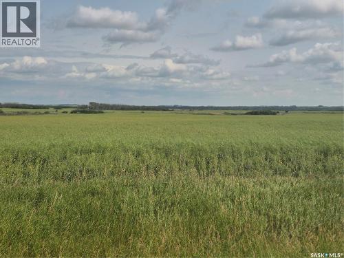 Dolezal Land, Blaine Lake Rm No. 434, SK 