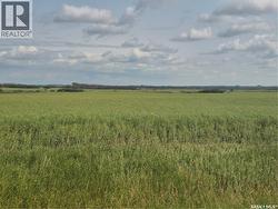 DOLEZAL LAND  Blaine Lake Rm No. 434, SK S0J 0J0