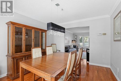 11 Canmore Boulevard, Toronto, ON - Indoor Photo Showing Dining Room