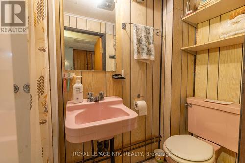 basement bathroom with shower - 215 Knoll Street, Port Colborne (Main Street), ON - Indoor Photo Showing Bathroom