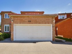 Lower-556 Farwell Crescent  Mississauga, ON L5R 2A6