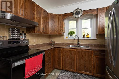 299 Park Street, Kitchener, ON - Indoor Photo Showing Kitchen With Double Sink