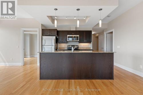 Large Gourmet Space in Kitchen as is now! - 1003 - 245 Kent Street N, Ottawa, ON - Indoor Photo Showing Kitchen