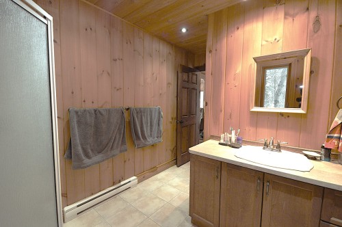 Bathroom - 169 Ch. Roy, Amherst, QC - Indoor Photo Showing Bathroom