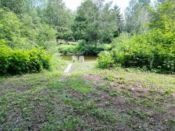 Accès au plan d'eau - 