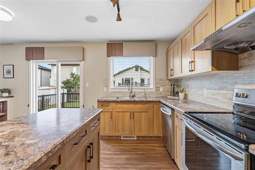 162 Audette Dr, Winnipeg, MB - Indoor Photo Showing Kitchen With Upgraded Kitchen