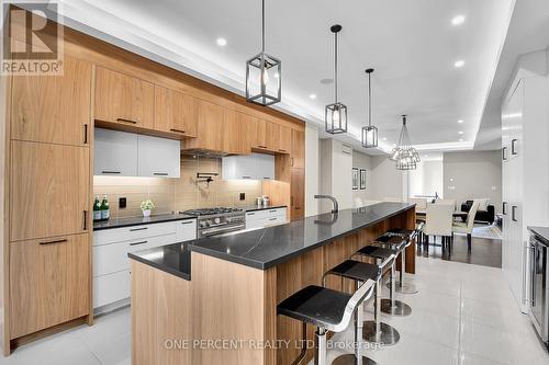 41 Second Avenue, Ottawa, ON - Indoor Photo Showing Kitchen With Upgraded Kitchen