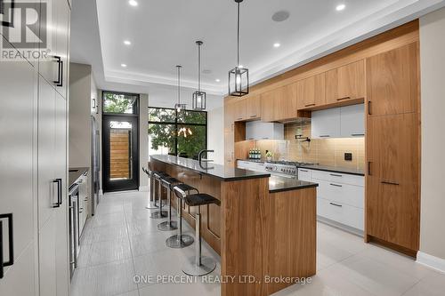 41 Second Avenue, Ottawa, ON - Indoor Photo Showing Kitchen With Upgraded Kitchen