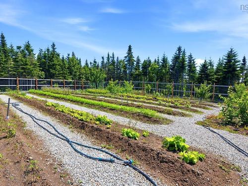 425 Powers Road, Whites Lake, NS - Outdoor