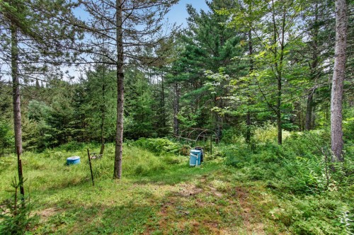 Extérieur - 819 Ch. Du Lac-Macaza, La Macaza, QC - Outdoor