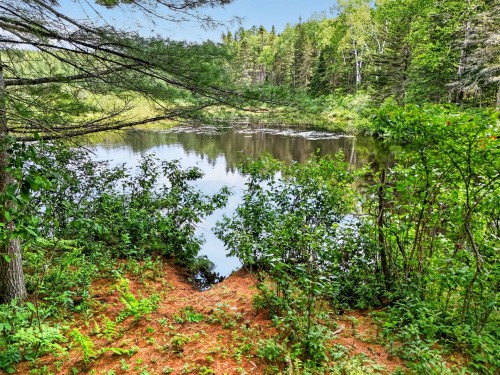 Extérieur - 819 Ch. Du Lac-Macaza, La Macaza, QC - Outdoor