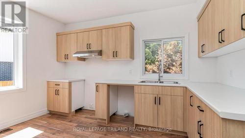 114 Fairview Avenue, St. Thomas, ON - Indoor Photo Showing Kitchen With Double Sink