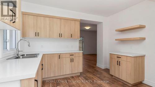 114 Fairview Avenue, St. Thomas, ON - Indoor Photo Showing Kitchen With Double Sink