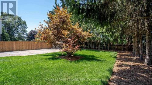 114 Fairview Avenue, St. Thomas, ON - Outdoor