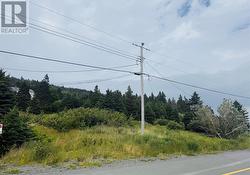 126 Harbour Drive  Dunville, NL A0B 1S0