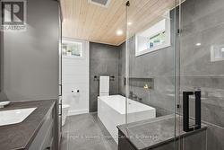 Bathroom lower level - 