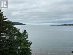 80-82 Cove Road  Hearts Content, NL A0B 1Z0