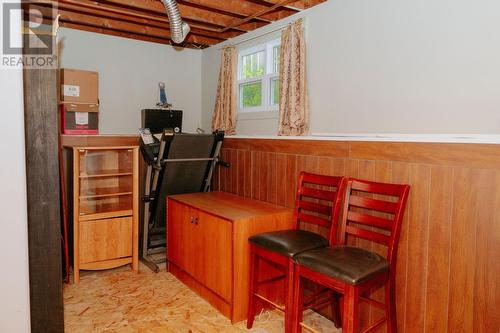 58 Byrd Avenue, Gander, NL - Indoor Photo Showing Basement