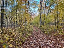 843 ROYSTON ROAD  Ryerson, ON P0A 1C0