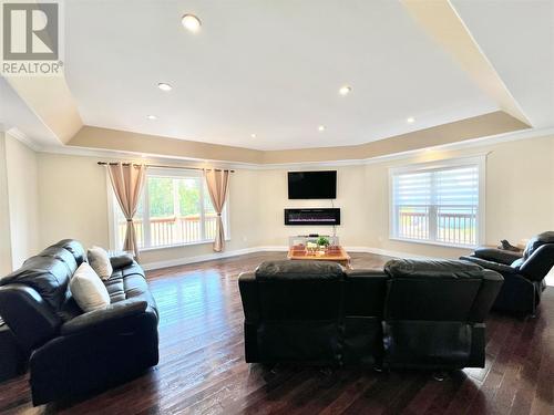 4 Birch Street, Badger, NL - Indoor Photo Showing Living Room