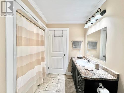 4 Birch Street, Badger, NL - Indoor Photo Showing Bathroom
