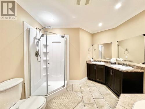 4 Birch Street, Badger, NL - Indoor Photo Showing Bathroom
