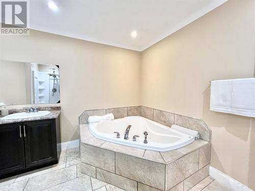 4 Birch Street, Badger, NL - Indoor Photo Showing Bathroom