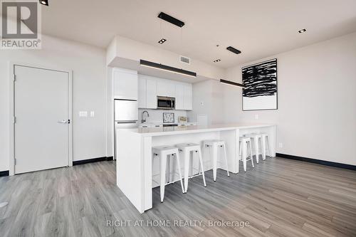 705 - 203 Catherine Street, Ottawa, ON - Indoor Photo Showing Kitchen