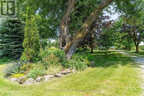 678541 Centre Road, Mulmur, ON - Outdoor