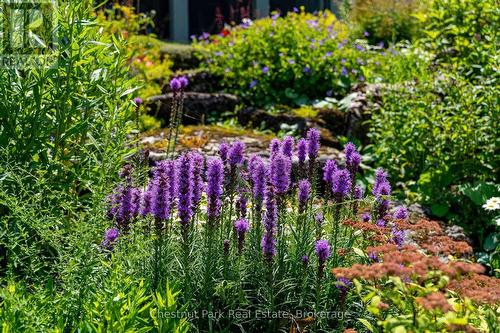 678541 Centre Road, Mulmur, ON - Outdoor