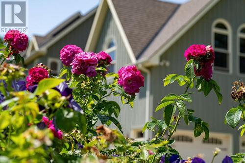 678541 Centre Road, Mulmur, ON - Outdoor