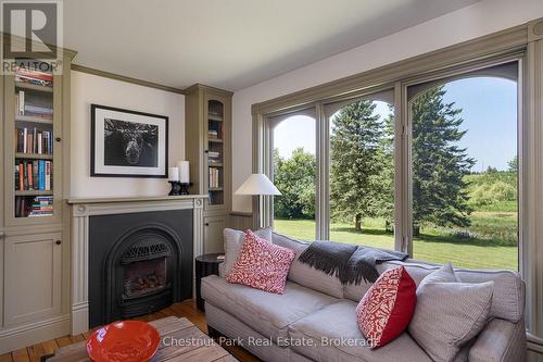 678541 Centre Road, Mulmur, ON - Indoor Photo Showing Living Room With Fireplace
