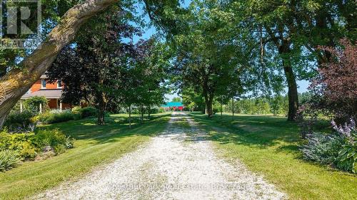 678541 Centre Road, Mulmur, ON - Outdoor