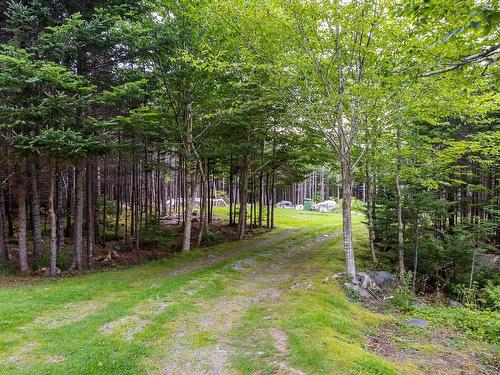 62 Murphys Road, Murphy Cove, NS - Outdoor
