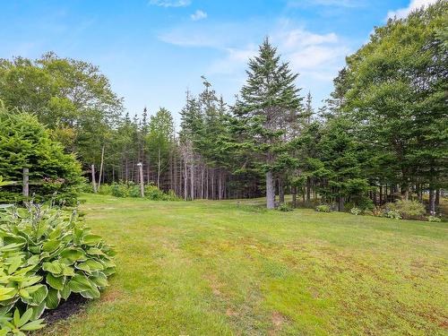 62 Murphys Road, Murphy Cove, NS - Outdoor