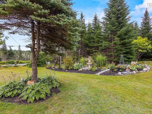 62 Murphys Road, Murphy Cove, NS - Outdoor