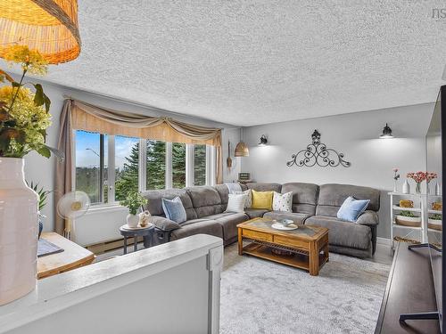 62 Murphys Road, Murphy Cove, NS - Indoor Photo Showing Living Room