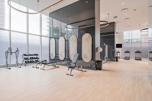 Exercise Room - 1110-2300 Rue Tupper, Montréal (Ville-Marie), QC - Indoor Photo Showing Gym Room