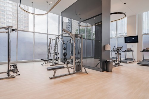 Exercise Room - 1110-2300 Rue Tupper, Montréal (Ville-Marie), QC - Indoor Photo Showing Gym Room