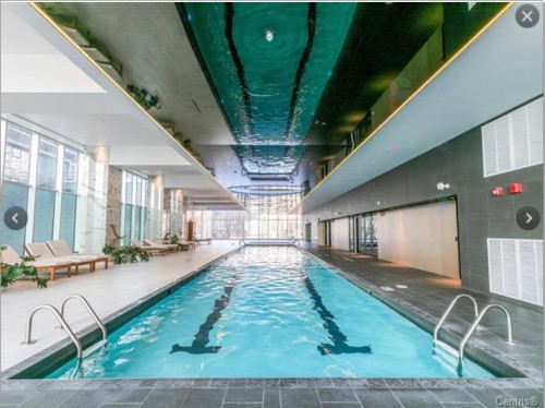 Pool - 1110-2300 Rue Tupper, Montréal (Ville-Marie), QC - Indoor Photo Showing Other Room With In Ground Pool