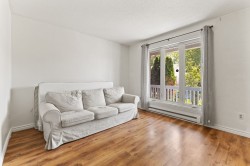 Salon - 