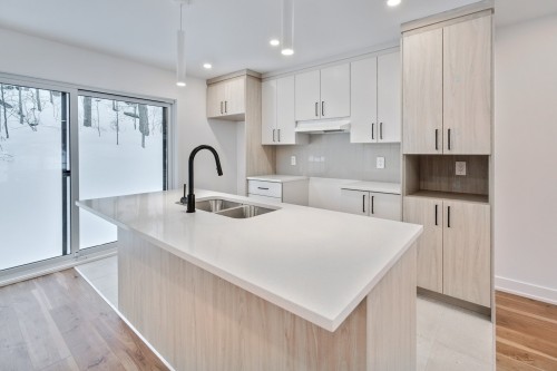 Cuisine - 15B Ch. Crouch, Val-Des-Monts, QC - Indoor Photo Showing Kitchen With Double Sink