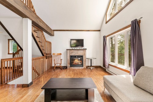 Salon - 172 Ch. D'Arrow-Head, Stanstead - Canton, QC - Indoor Photo Showing Living Room With Fireplace