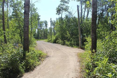 This is the driveway from Dalvik Road. There is an RV plug in this driveway. - 7 Dalvik Road, Gimli Rm, MB - Outdoor With View