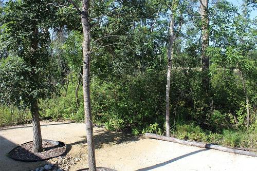 Backyard facing out to the road. So many trees! - 7 Dalvik Road, Gimli Rm, MB - Outdoor