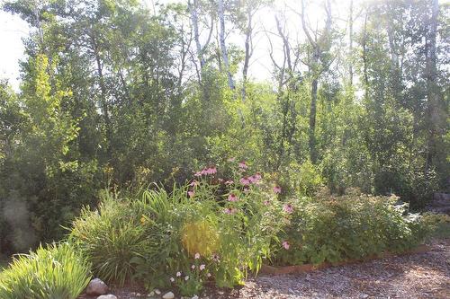 Beautiful perennials and trees. - 7 Dalvik Road, Gimli Rm, MB - Outdoor