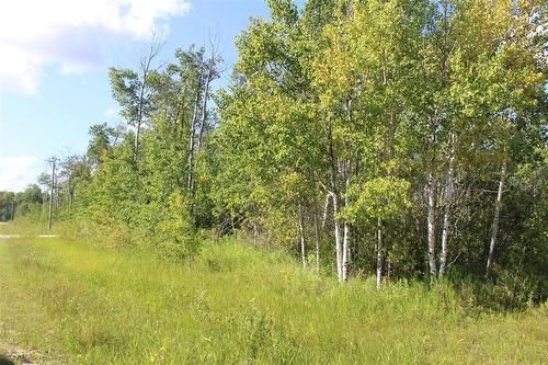Picture is taken from the corner of Dalvik road. The home is hidden by all the trees. - 7 Dalvik Road, Gimli Rm, MB - Outdoor With View