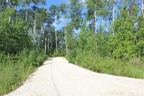 Driveway off of Dalvik Road. The other driveway is located off of Mosfel Circle. - 7 Dalvik Road, Gimli Rm, MB - Outdoor