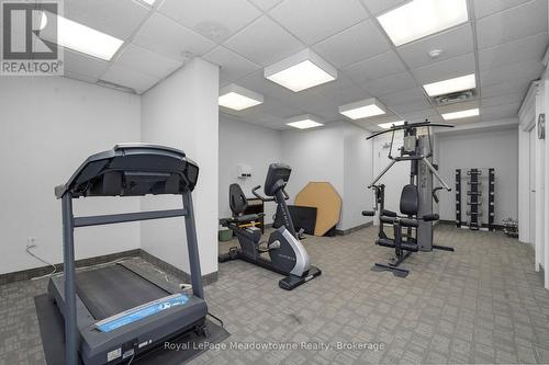 210 - 2075 Amherst Heights Drive, Burlington (Brant Hills), ON - Indoor Photo Showing Gym Room