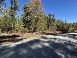 Lot 2-23 Highway 325 West Clifford, NS B4V 8H3
